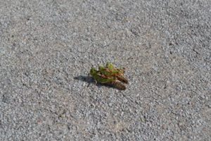 三段重ね1