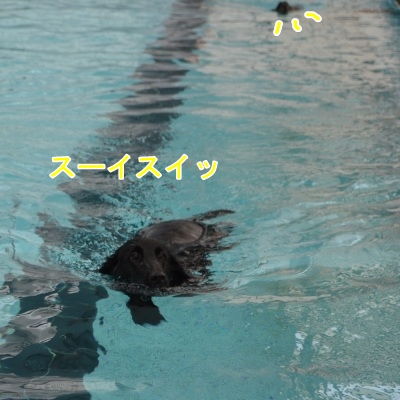 新種発見!?2