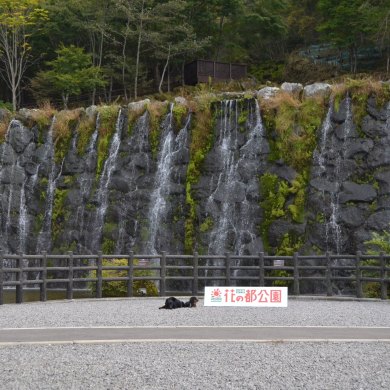 花の都公園2