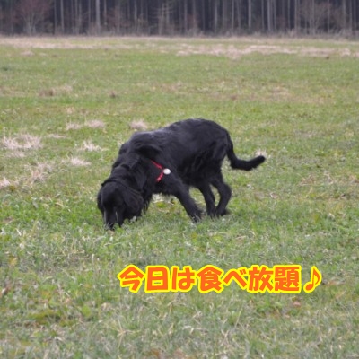 ふもとっぱら2