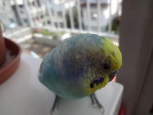 20120514_3096_convert_20120516204353.jpg