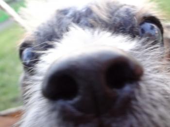 20120625_3625_convert_20120625202201.jpg