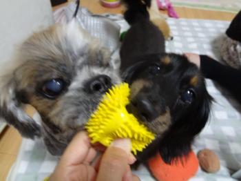 DSC01907_convert_20120711160741.jpg