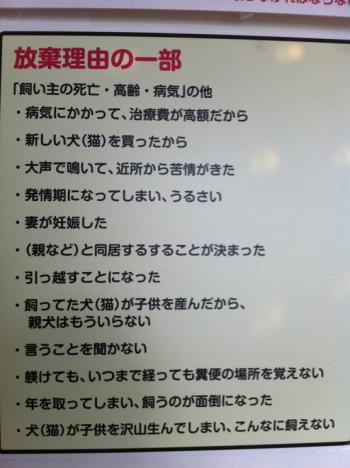 IMG_1702_convert_20120928213333.jpg