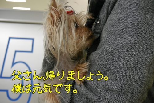 FrTR0FTC2gSWL5D1392653582_1392653657.jpg