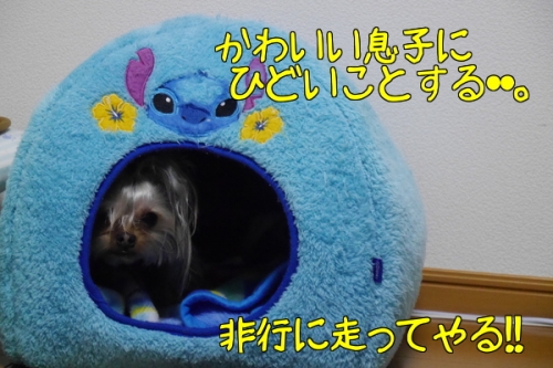 GhWZwdMShUHJdmg1391616998_1391617090.jpg