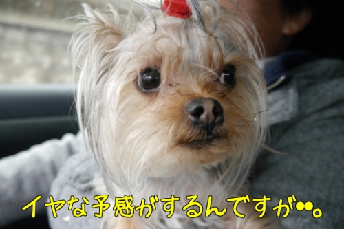 QHSpzmaE4GeQV3Z1392653290_1392653357.jpg