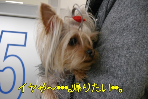 SNCVkdc1nThGHpX1392653444_1392653482.jpg
