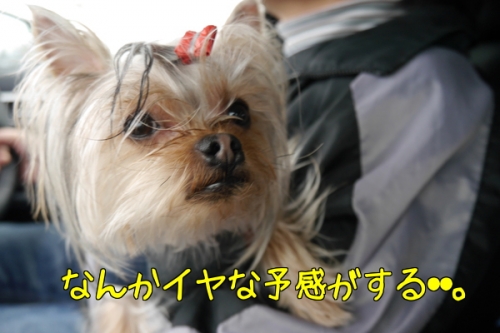 Zqp6__CwOF3cYxy1392133407_1392134127.jpg