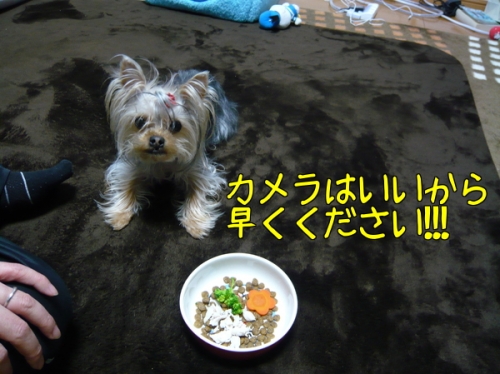 o4Mao0VnlB4S7lF1392475306_1392475360.jpg