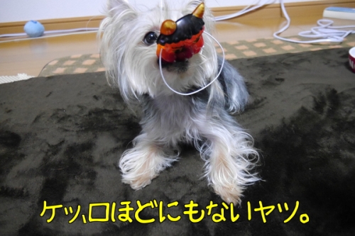 q4rHea2IXYrC3cZ1391616714_1391616795.jpg