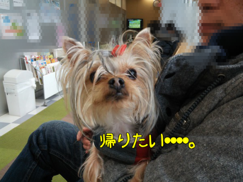 vEPu4ytpcZXvoU21392134170_1392134449.png