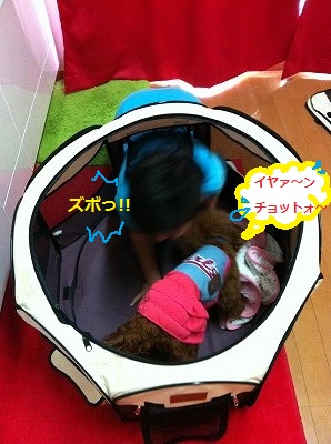 s-IMG_2667.jpg