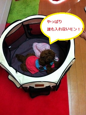 s-IMG_2669.jpg