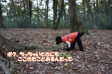 DSC00646-1.jpg