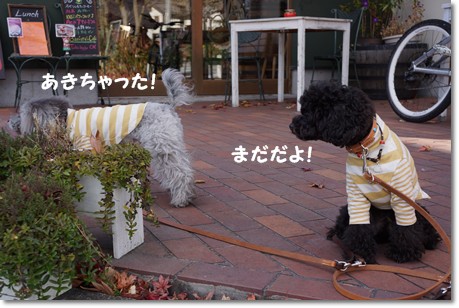 DSC00840-1.jpg