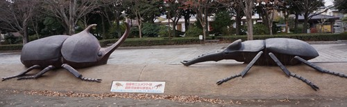 かぶと虫vsくわがた虫