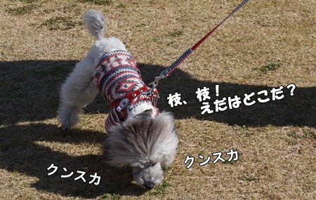 捕獲!
