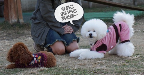 お、おやぶん