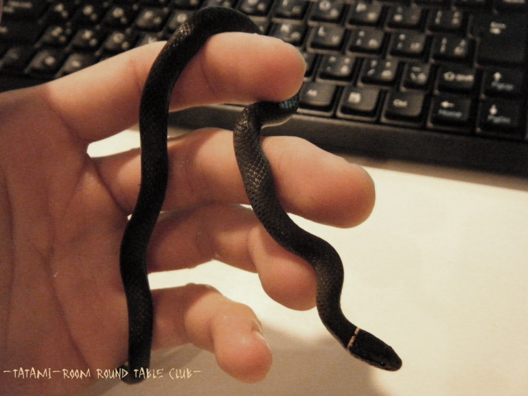 2014_11240001.jpg