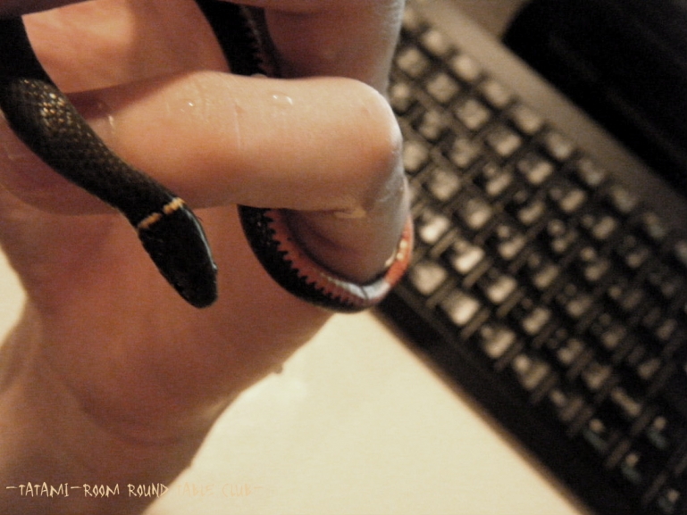 2014_11240005.jpg