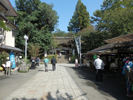 フェスタ50