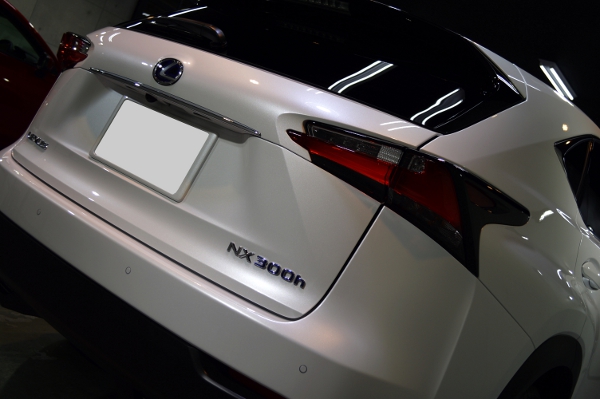 NXFスポ-08