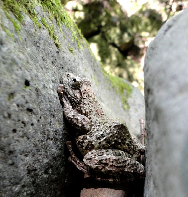 201302176.jpg
