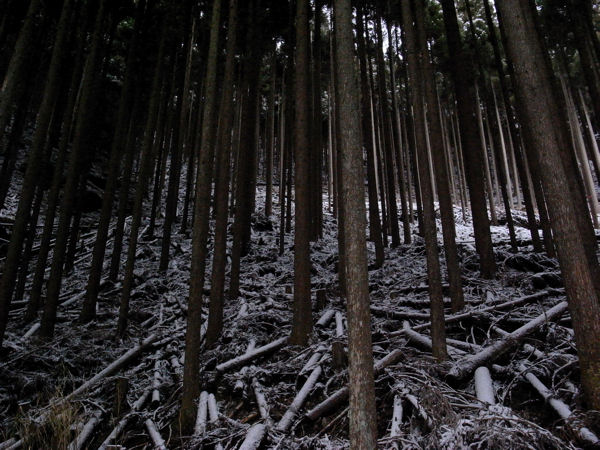 2013030302.jpg