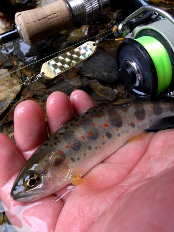 2013030304.jpg