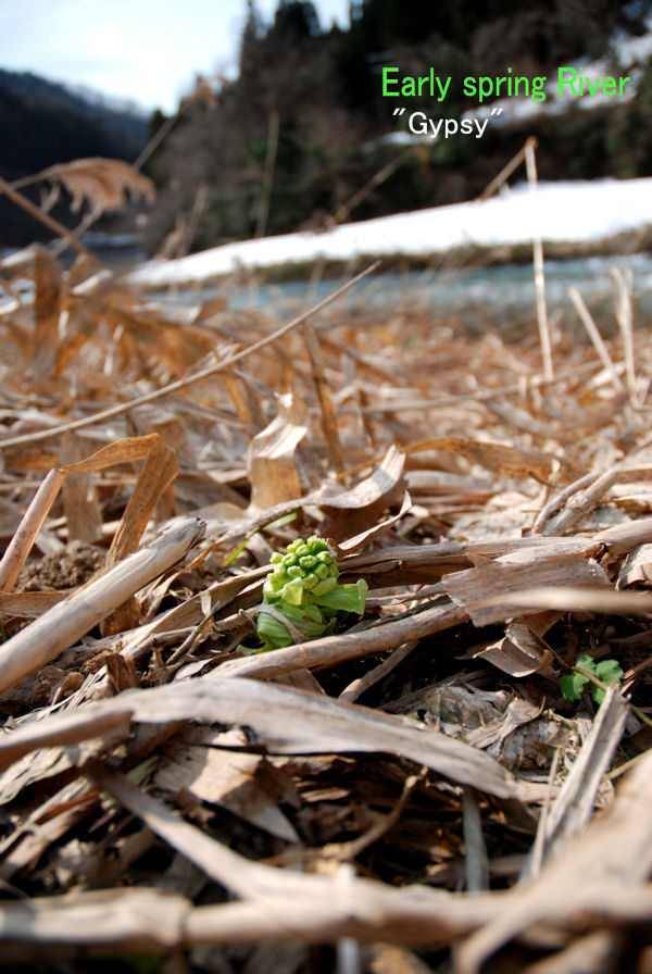 2013031601.jpg