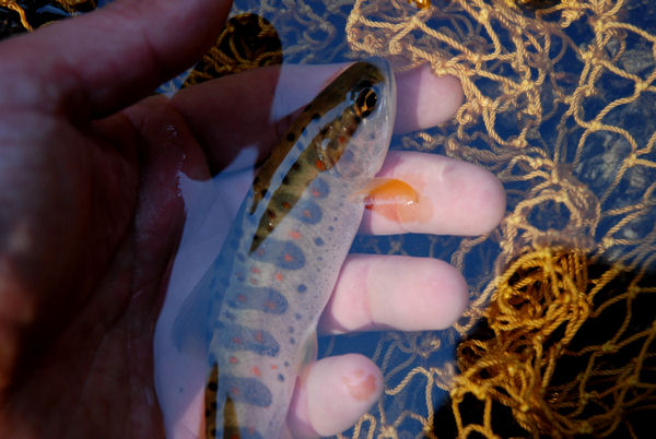 2013031603.jpg