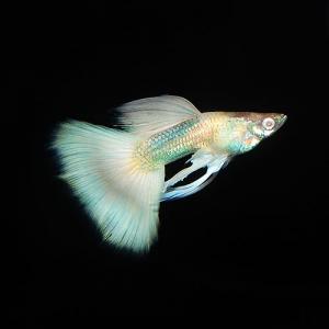 DSC_0352.jpg