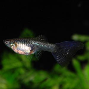 DSC_1714.jpg