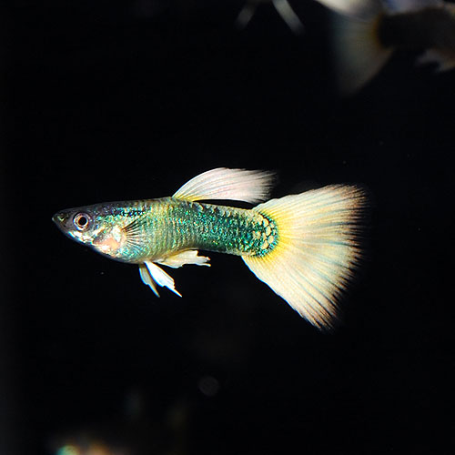 DSC_1851.jpg