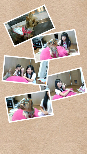 Collage 2012-09-15 10_44_40