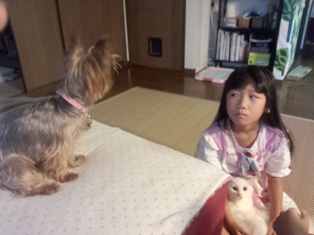 IMG_20120917_060730.jpg