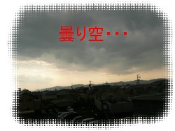 P1020724.jpg
