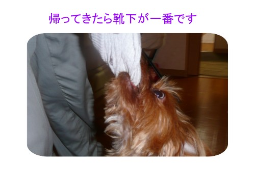 P1030109.jpg