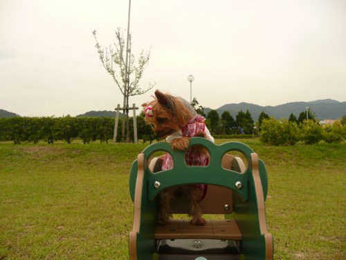 P1030764.jpg