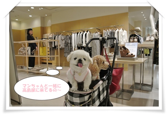 1205高島屋 a