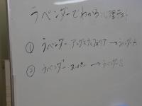 DSCN0788_convert_20130528110332.jpg