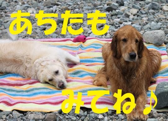 ★12