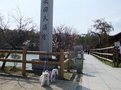 20130324 014
