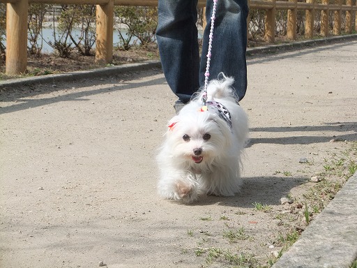 20130324 004