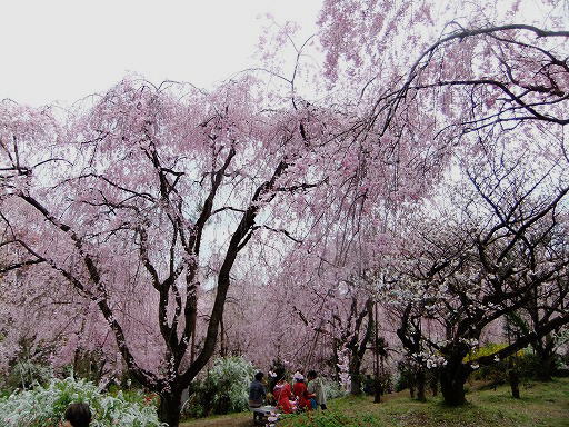 20130410 020