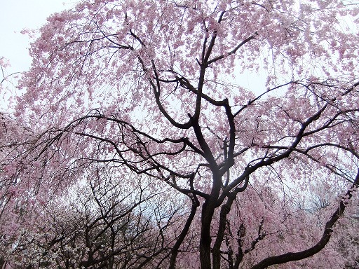20130410 019