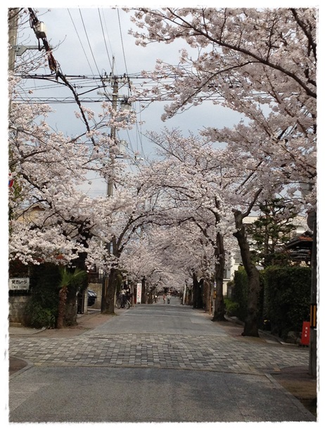 1304031.jpg