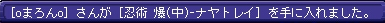 1月31日シオカンレア3