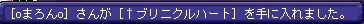 1月31日シオカンレア2
